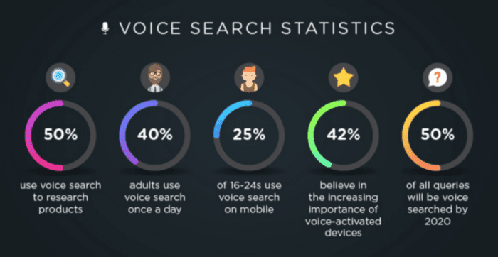 Voice Search Statistics